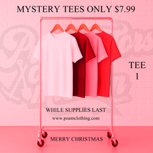 Load image into Gallery viewer, POAM Mystery T-Shirt #1 (Short Sleeve)