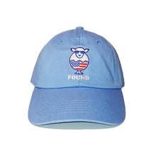 Load image into Gallery viewer, Found Sheep Flag Sky Dad Hat
